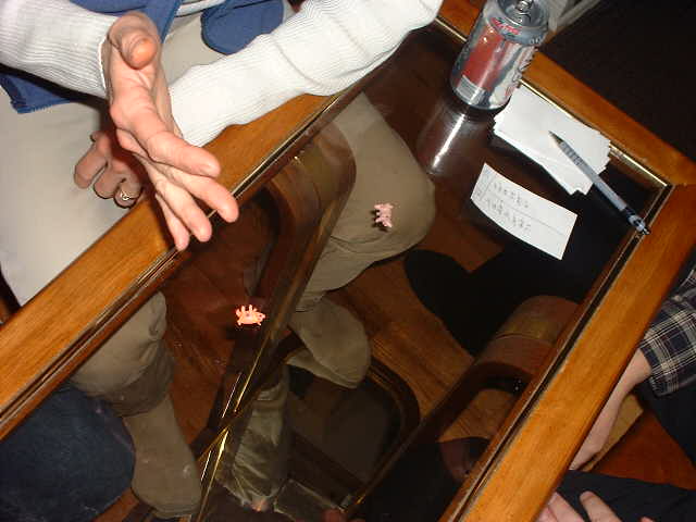 DSCF0136.JPG
