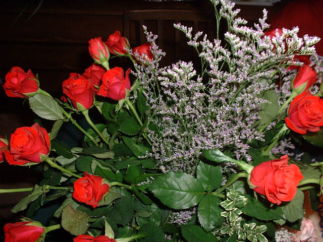 DSCF0010.JPG