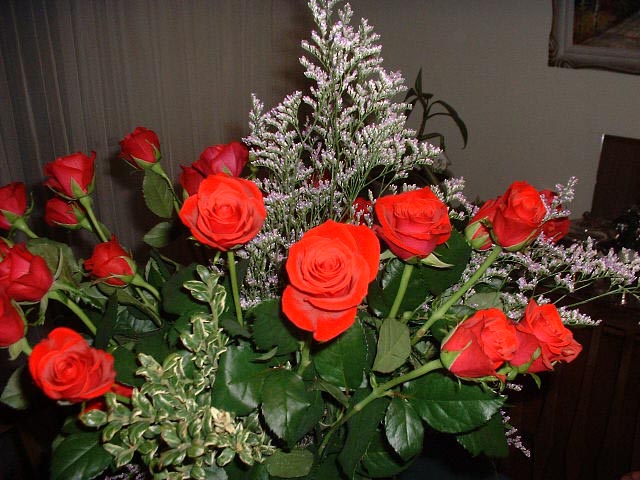 DSCF0011.JPG
