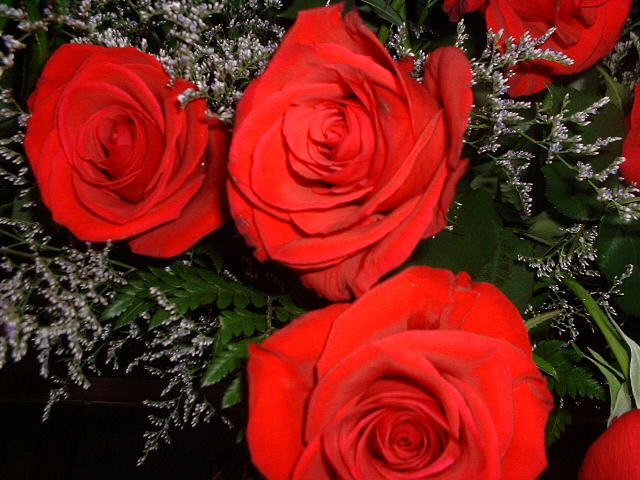 DSCF0047.JPG