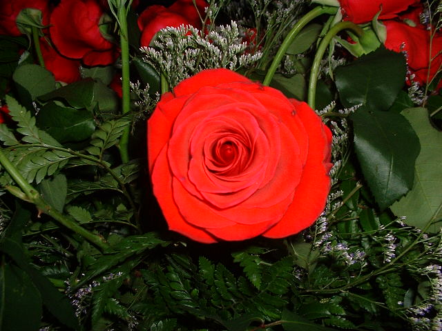 DSCF0048.JPG
