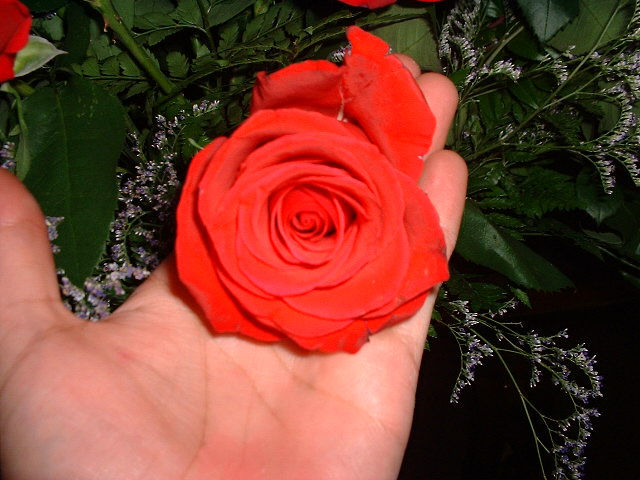 DSCF0049.JPG