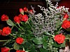 DSCF0010.JPG