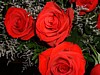 DSCF0047.JPG