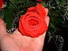DSCF0049.JPG