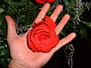 DSCF0050.JPG