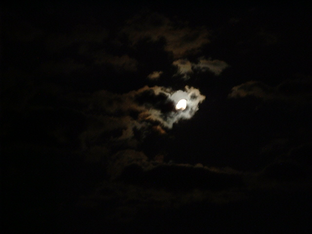 DSCF0004.JPG