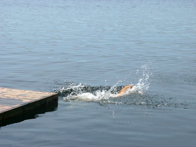 DSCF0150.JPG