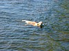 DSCF0012.JPG