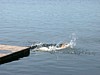 DSCF0150.JPG