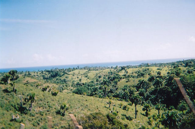 02.jpg