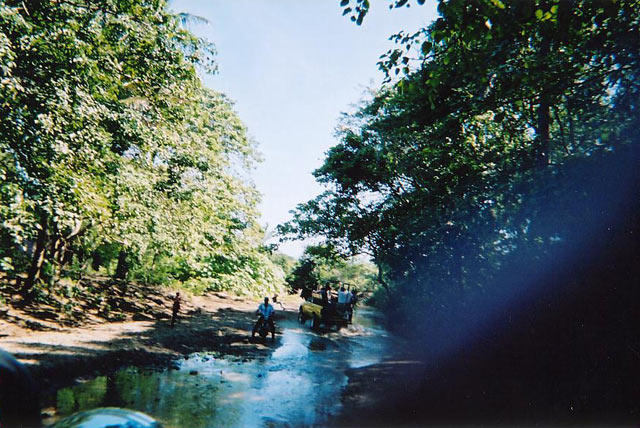 02a.jpg