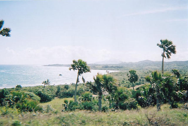 04b.jpg