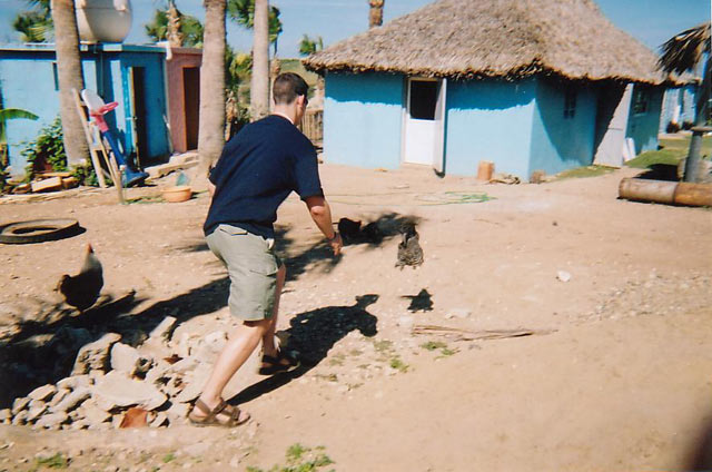 07i.jpg