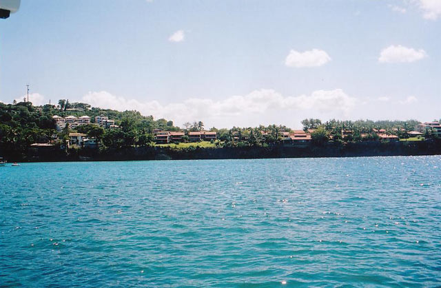 14e.jpg