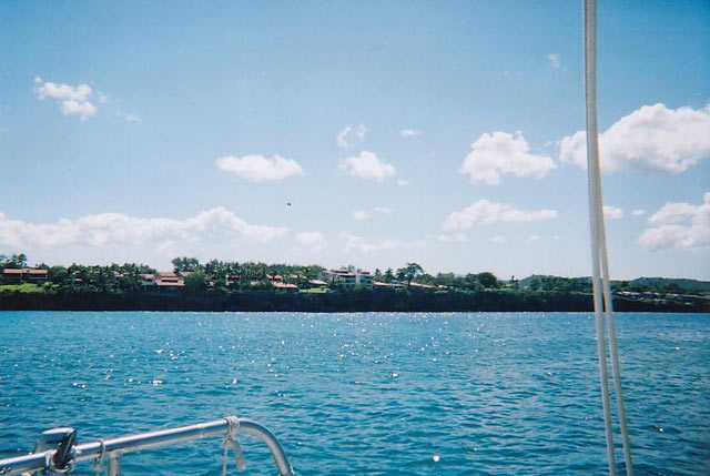 15a.jpg