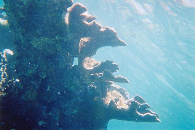 15d.jpg