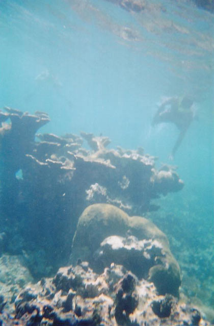 15e.jpg