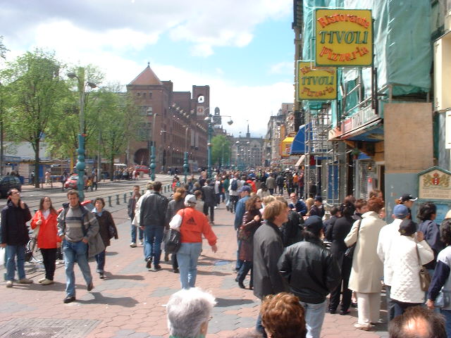 05.jpg