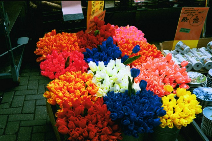 Img00004.jpg