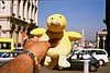 Img00030.jpg
