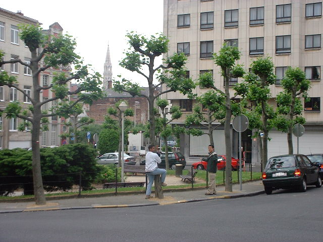 DSCF0029.JPG