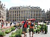 DSCF0055.JPG
