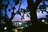 Img00021.jpg