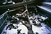 046.jpg