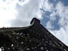 DSCF0113.JPG
