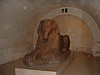 DSCF0200.JPG