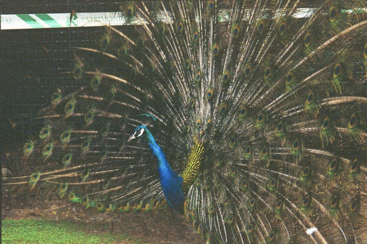 Img00007.jpg