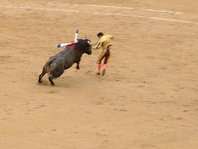 46.jpg