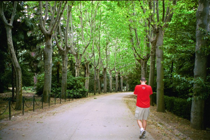 Img00016.jpg