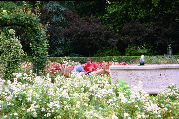 Img00017.jpg