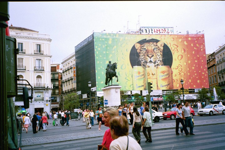 Img00018.jpg