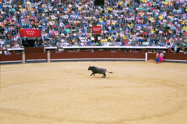Img00026.jpg