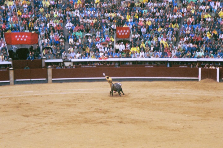 Img00027.jpg