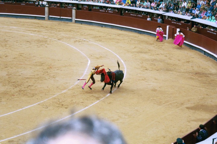 Img00029.jpg