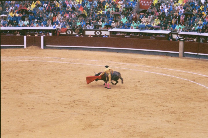 Img00030.jpg