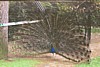 Img00012.jpg