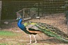 Img00014.jpg