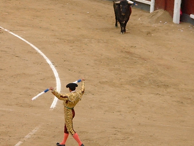 DSCF0243.JPG
