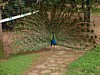 DSCF0225.JPG