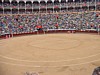 DSCF0233.JPG