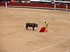 DSCF0238.JPG