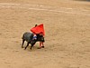 DSCF0247.JPG
