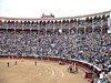 DSCF0248.JPG