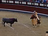 DSCF0253.JPG