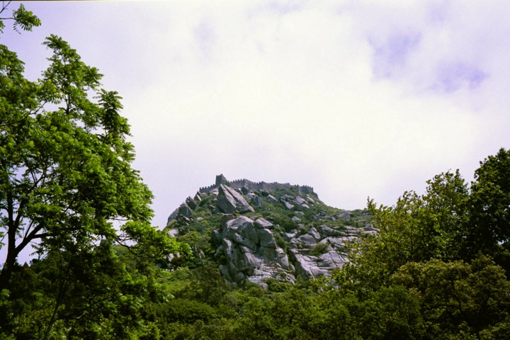Img00008h.jpg